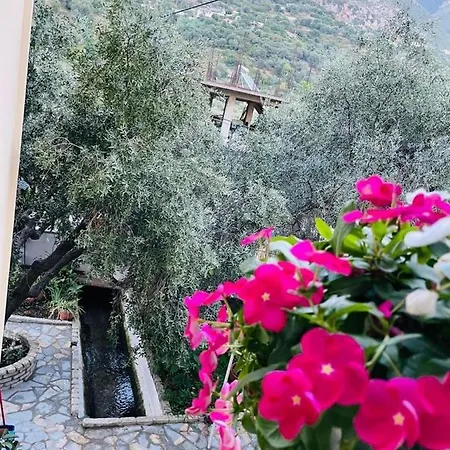 Aristoteli Guest house